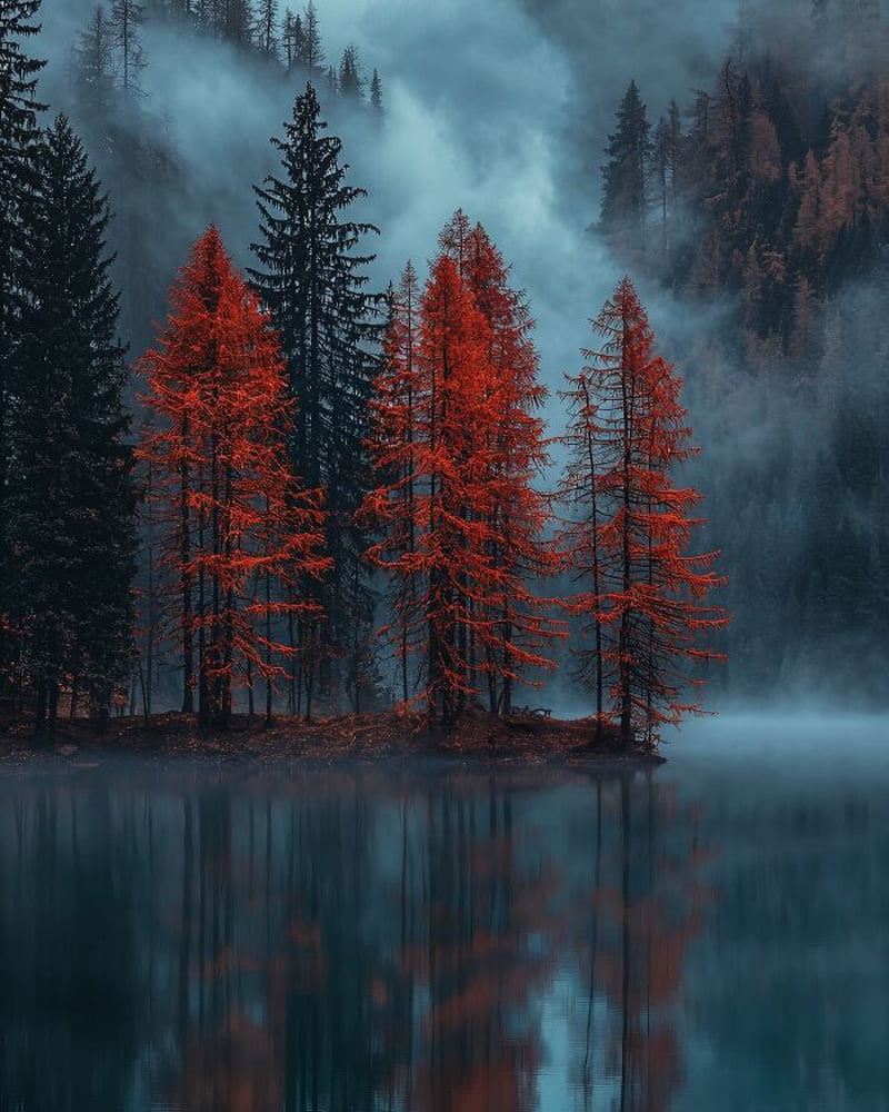 Autumn trees by the river