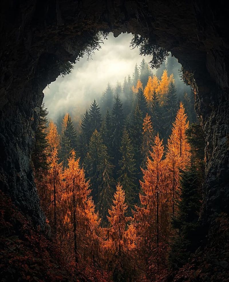 AI-generated image of an autumn forest landscape