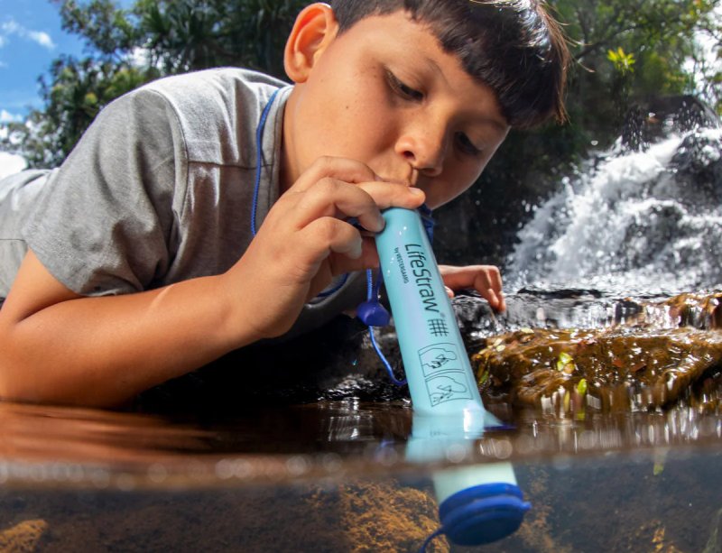 Polluted water purifier reed. Source: miladsportshop.ir website; Photographer: Unknown