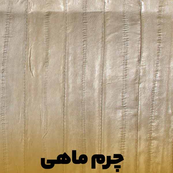 You are viewing a model of fish leather in golden color.