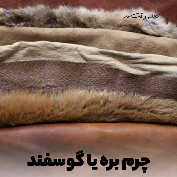 Natural leather from lamb or sheep skin