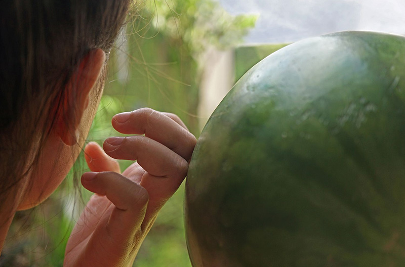 good watermelon recognition by sound; Photo source: shadmag.com; Photographer: Unknown