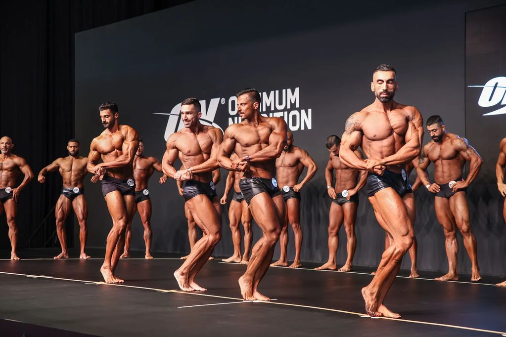 dubai muscle show 4