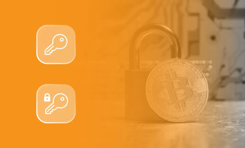 What is the private key and public key of Bitcoin?