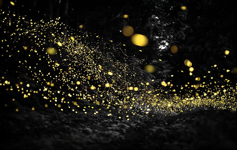 The reflection of fireflies on the water of the river