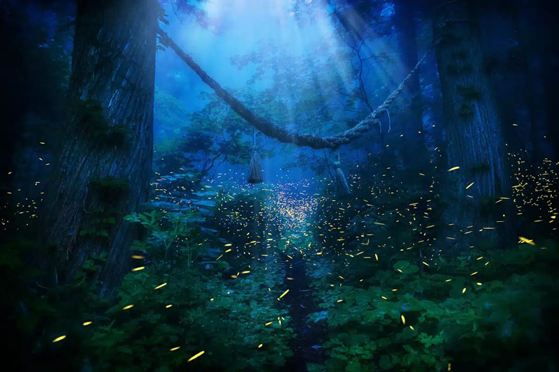 Fireflies among the green bushes