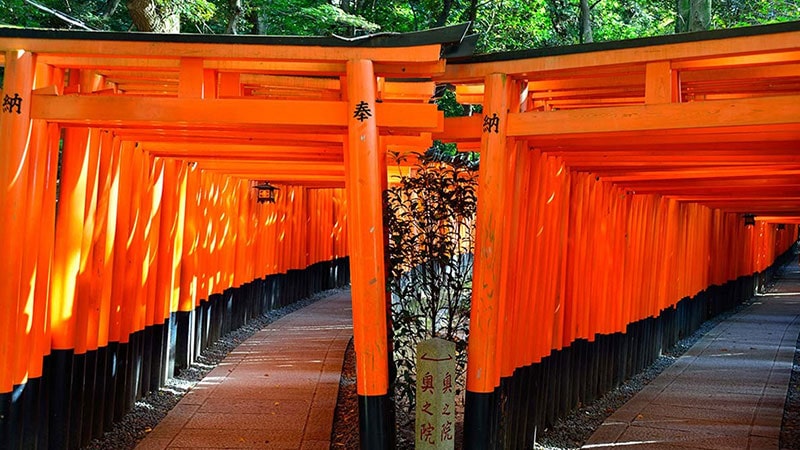  Fushimi Inari Taisha Temple
