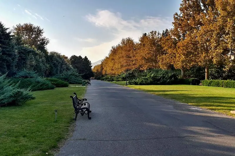 The greenery of the botanical garden. Source: Google Map; Photographer: Majid Irani