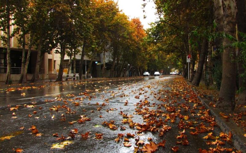 Autumn trees on Valiasr Street. Source: Google Map; Photographer: Manok Paniri