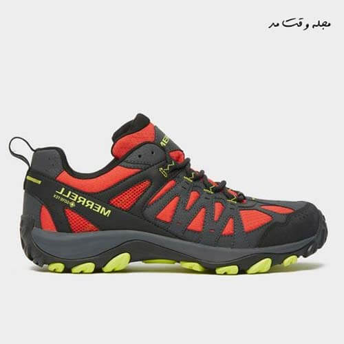 Standard walking shoe features