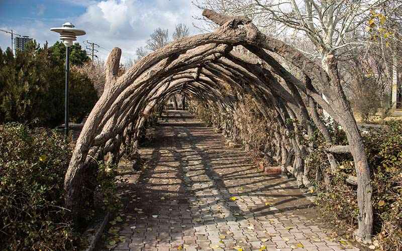 Wooden tunnel in Baghmisheh Forest Park, photo source: Google Map, photographer: Saeed Garaaghaji