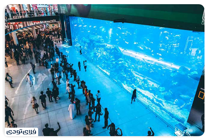 Dubai Aquarium The largest indoor aquarium in the world! Dubai Aquarium