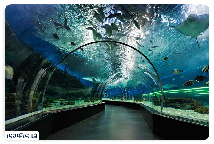 Dubai Aquarium The largest indoor aquarium in the world! Dubai Aquarium