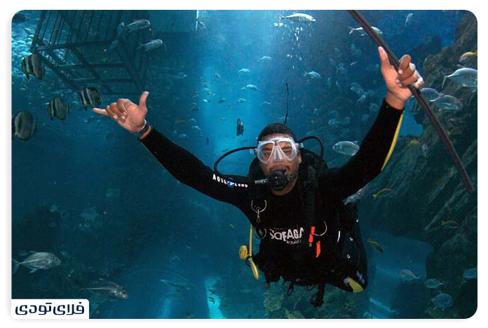 Dubai Aquarium The largest indoor aquarium in the world! Dubai Aquarium