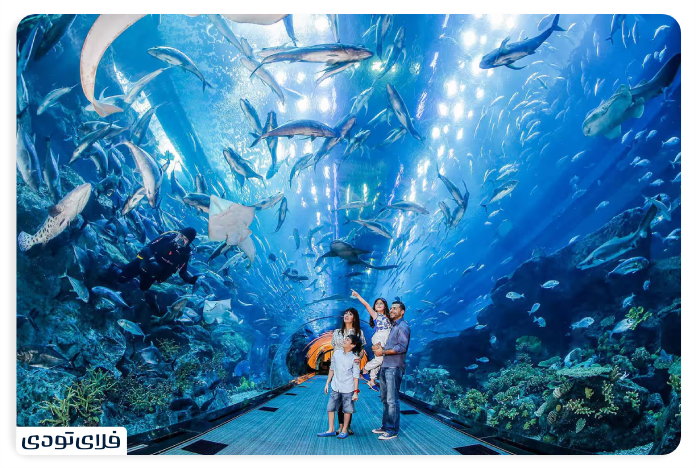 Dubai Aquarium The largest indoor aquarium in the world! Dubai Aquarium