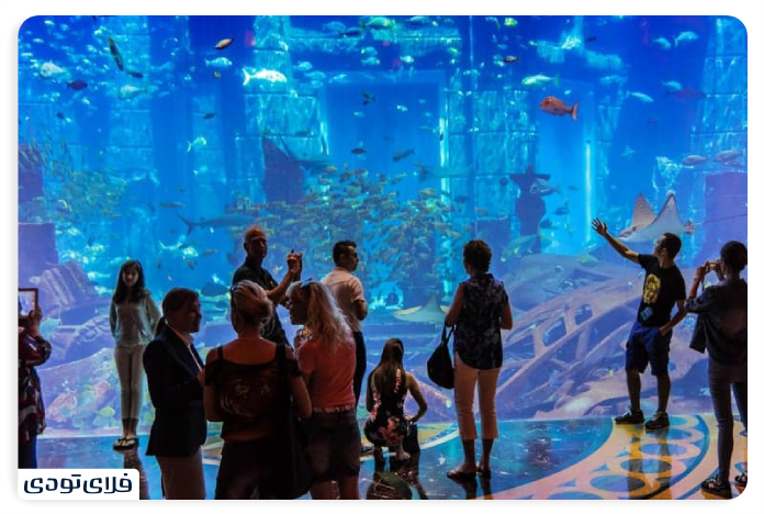 Dubai Aquarium The largest indoor aquarium in the world! Dubai Aquarium