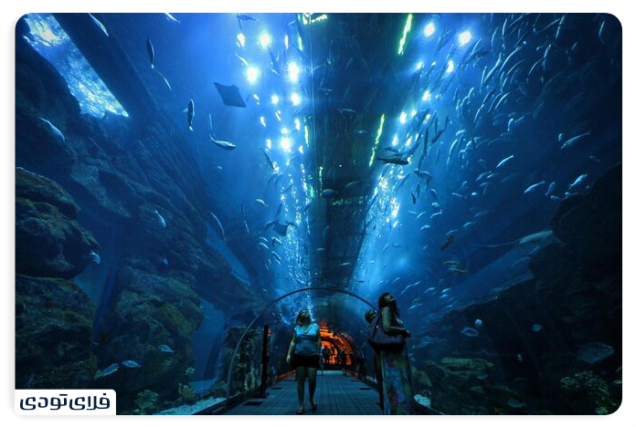 Dubai Aquarium The largest indoor aquarium in the world! Dubai Aquarium