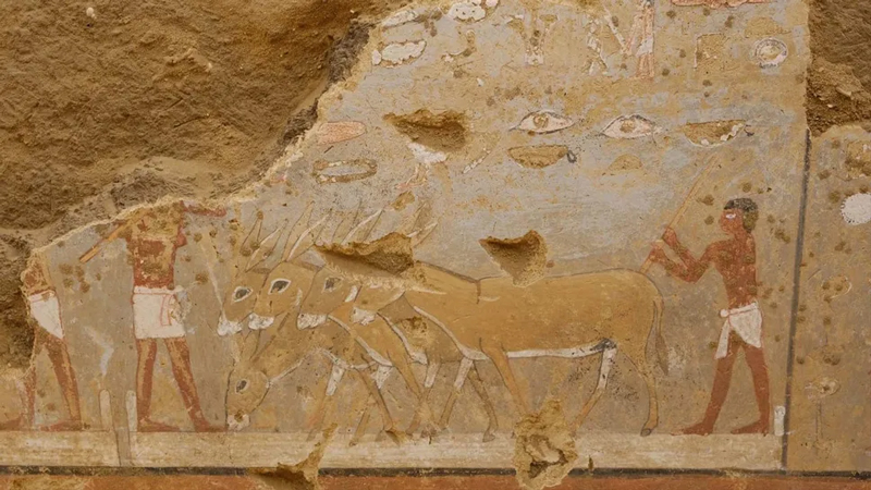 4300 years old Egyptian wall paiing
