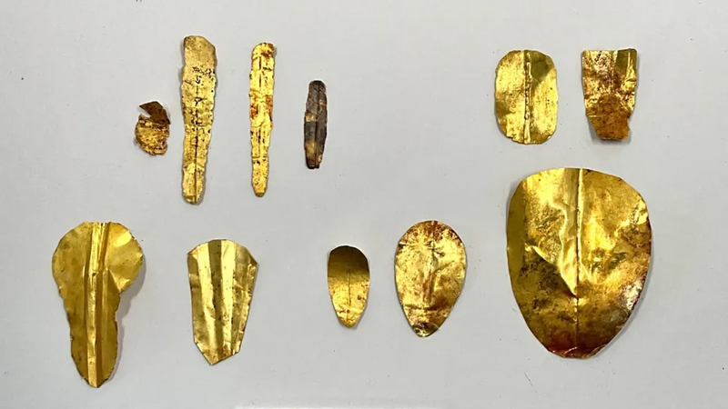 Golden languages ​​of Egypt