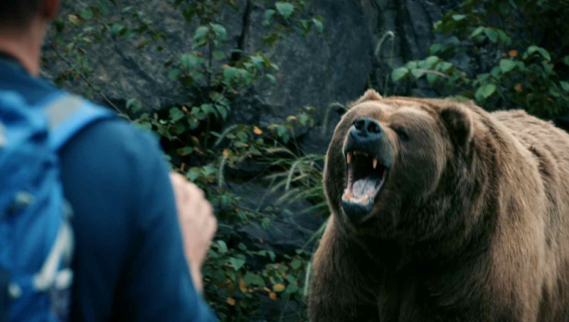Avoid bear attack. Source: imdb.com website; Photographer: Unknown
