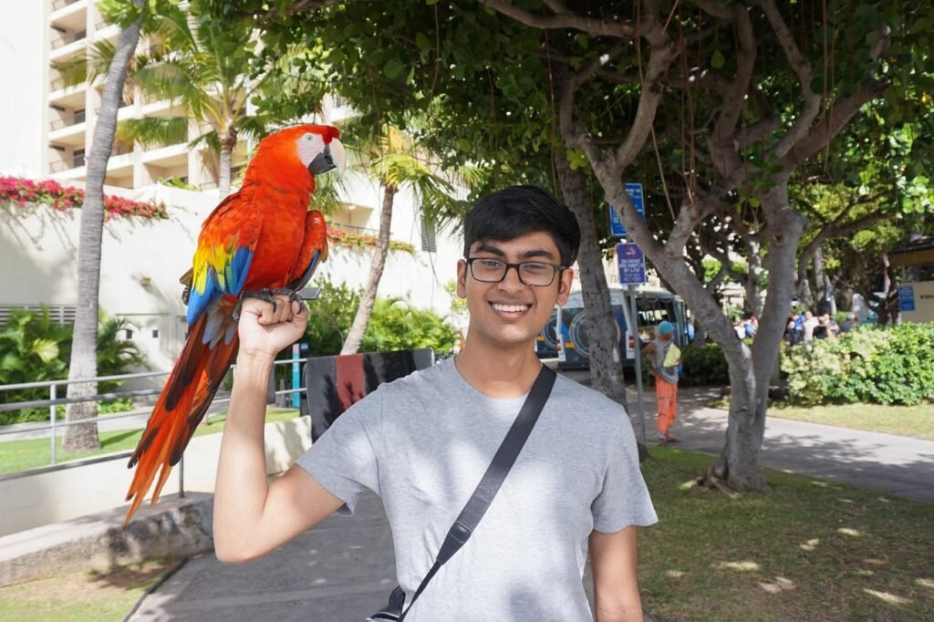 OpenAI Whistleblower