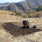 The discovery of an iron workshop in the south of Lake Urmia