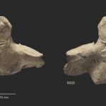 Cannibalism in prehistoric times