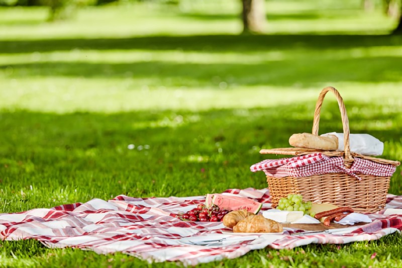 Cloth travel mat for picnic. Source: mccormick.com website; Photographer: Unknown