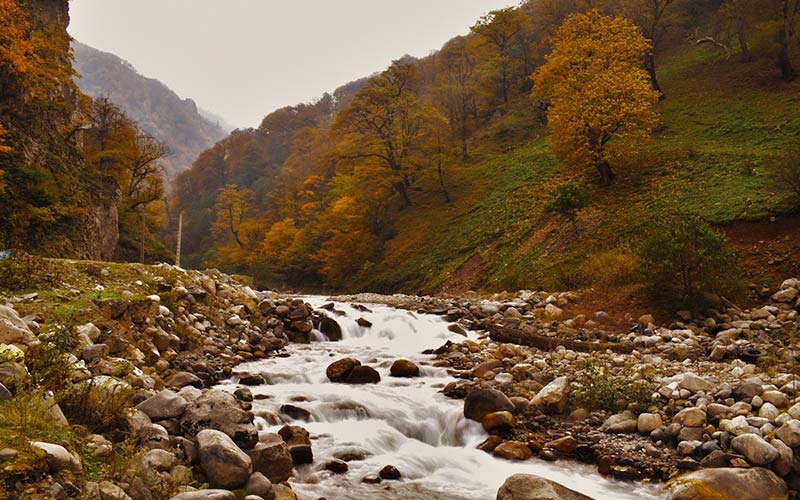 Tuskistan forest in autumn, photo source: Google Map, photographer: Majid Nasraleh Hosseini