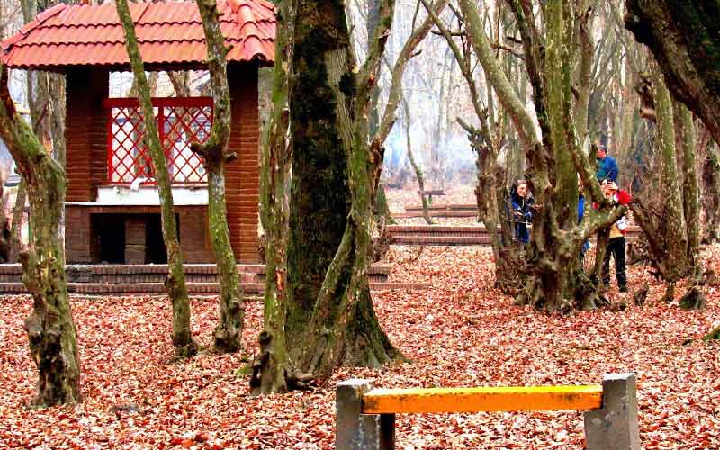 Alangdare forest in autumn, photo source: Google Map, photographer: Babak Bakshi