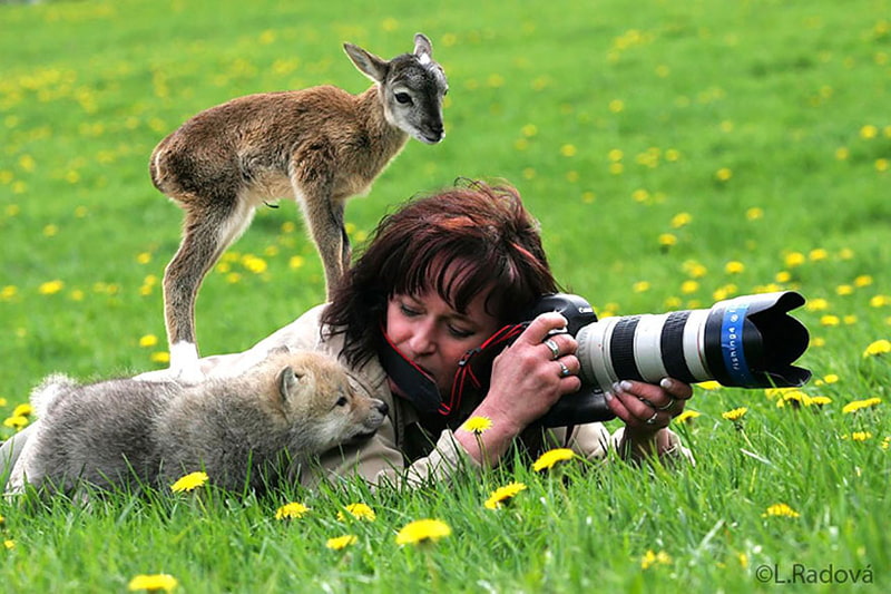 A deer next to the female photographer