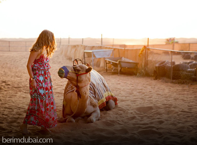 Dubai Safari