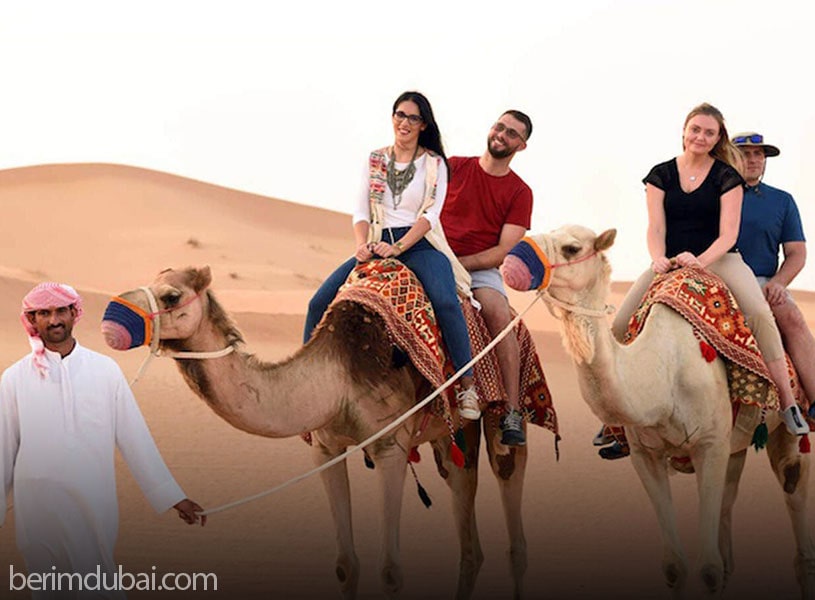 Dubai Safari