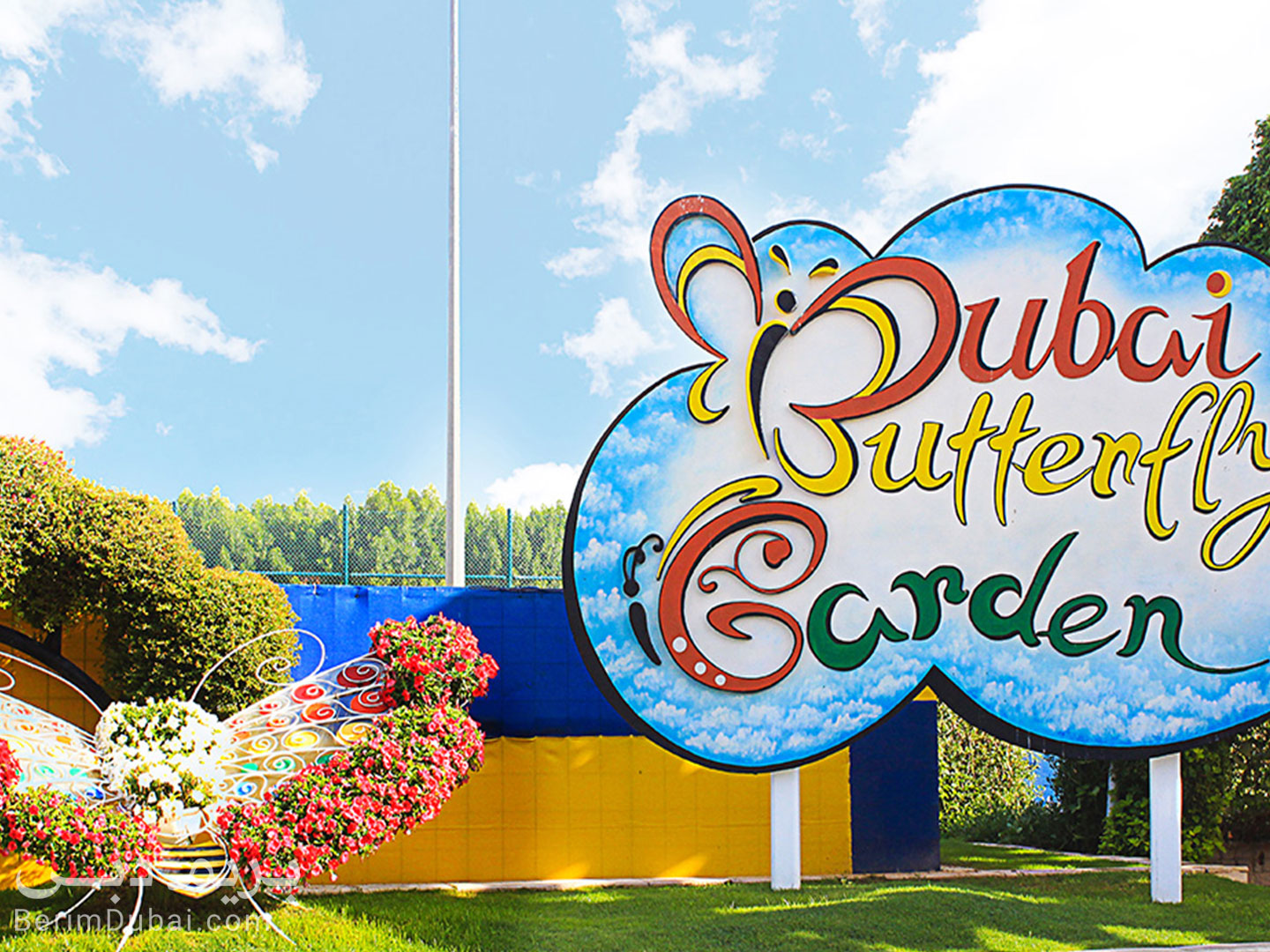 Dubai Flower Garden