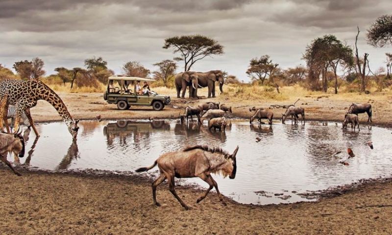 Serengeti National Park in Tanzania; Photo source: serengetiparktanzania.com. Photographer: Unknown