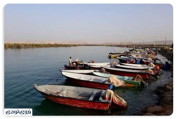 Qeshm mangrove forest