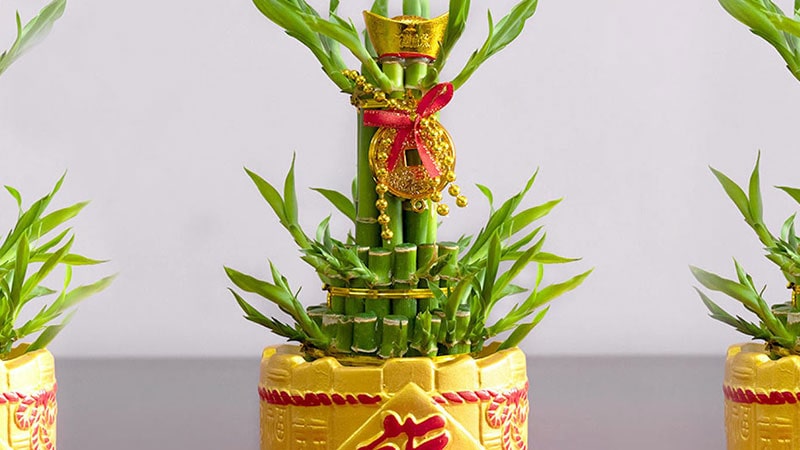 Legend of the history of Chinese New Year