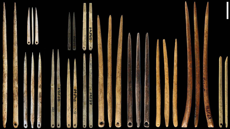old needles of differe sizes and shapes; Photo source: livescience; Name of the photographer: unknown 