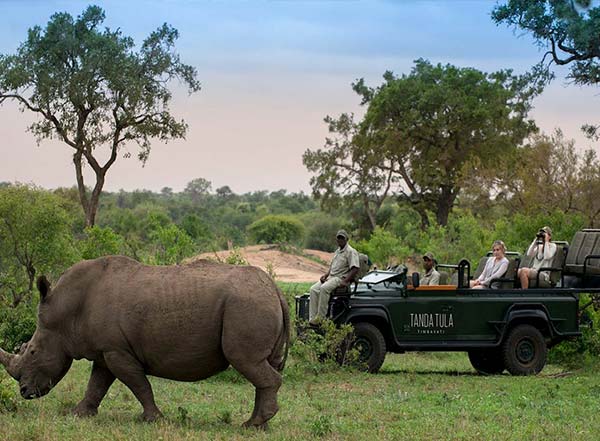 South Africa; Meeting the Big Five
