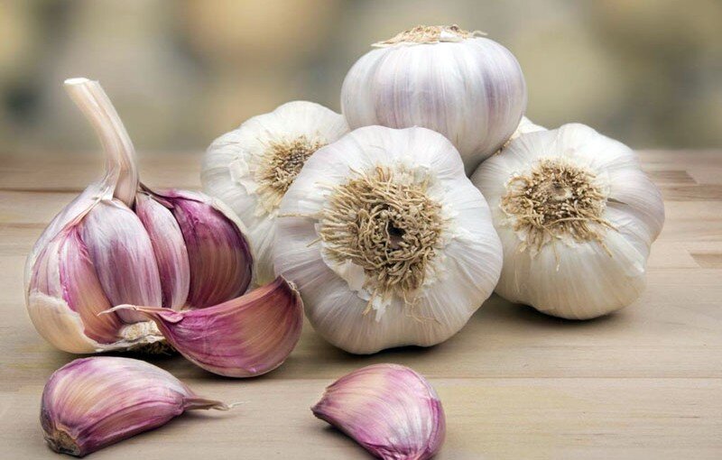 Immediate treatme of cold with garlic