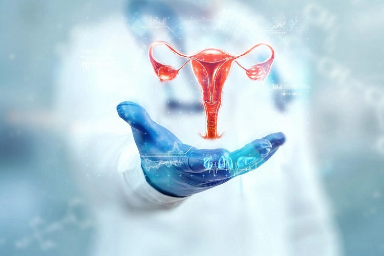 Symptoms of uterine wall thickening