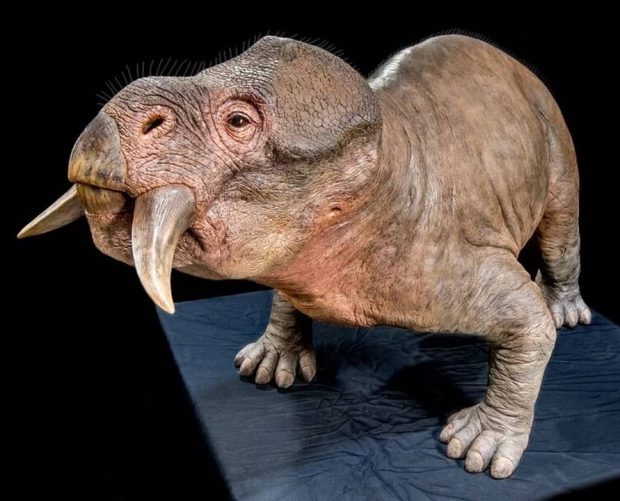 Earth before the dinosaurs