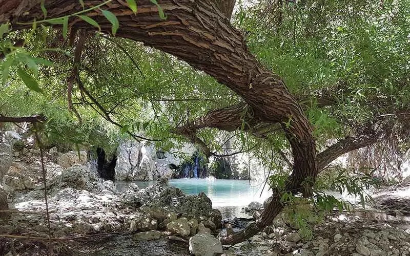 The narrow nature of Benion Bushehr, photo source: Google Map, photographer: Mehdi Jafari