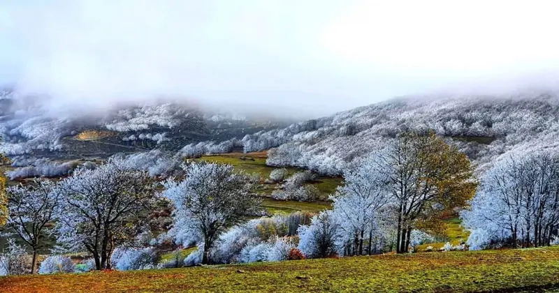 wier snow in Arsbaran region; Photo source: Sanajou, photographer: Mehdi Talebpour