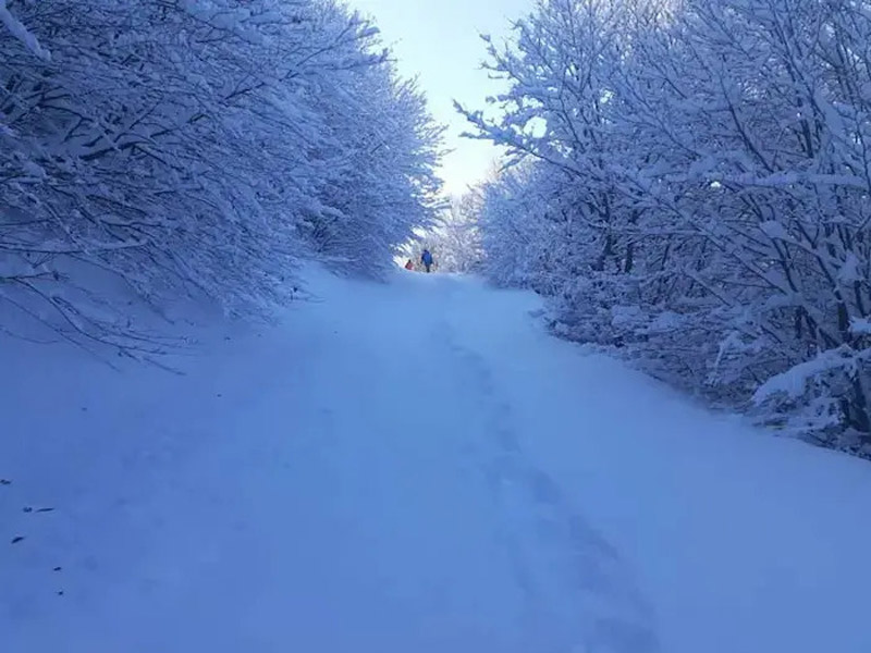 Passage and snowy trees of Fandakhlo area, Ardabil; Photo source: Ardabil Real Estate, photographer: unknown