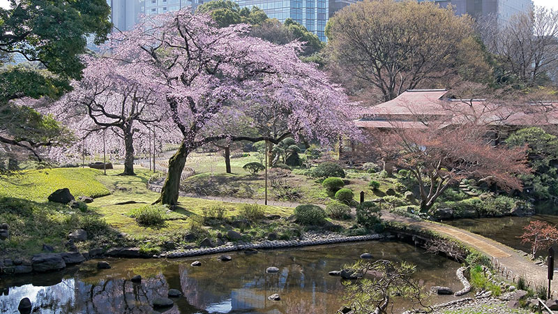 Koishikawa Kurakuen Garden 