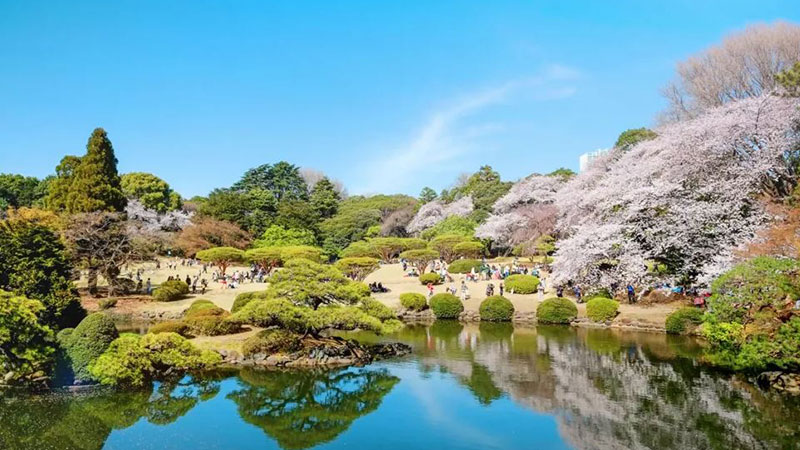 Shinjuku Gion National Park