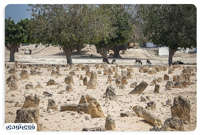 Travel to Hondurabi Island An island in the heart of the Persian Gulf The Portuguese cemetery is one of the must-see places on Hondurabi Island