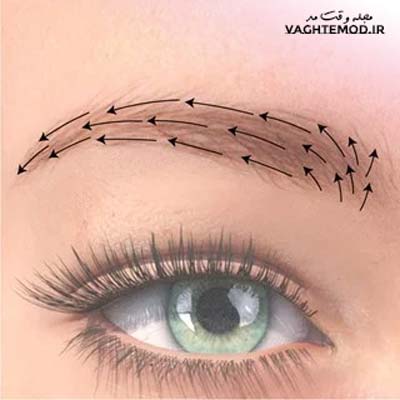 Eyebrow implaation in a natural way