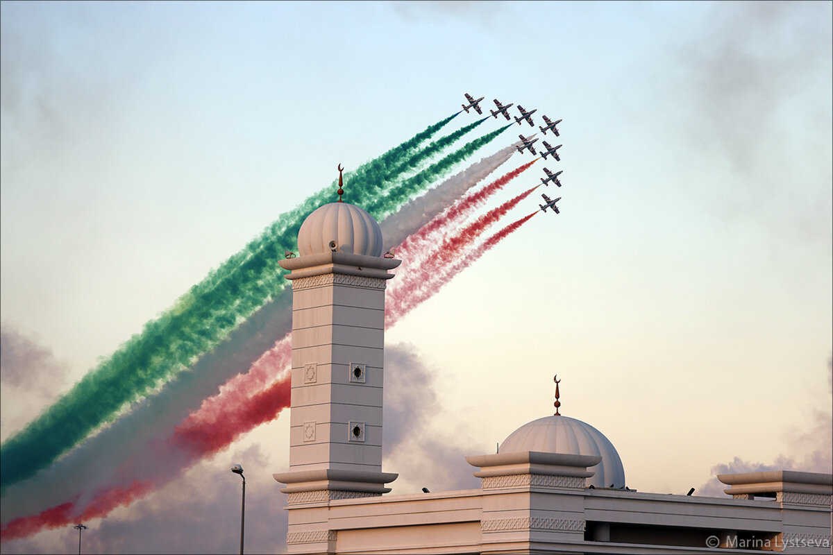 Dubai Air Show 10